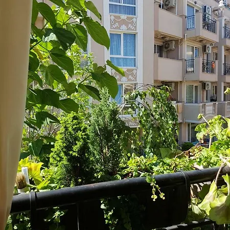 Zanier Guest house *
