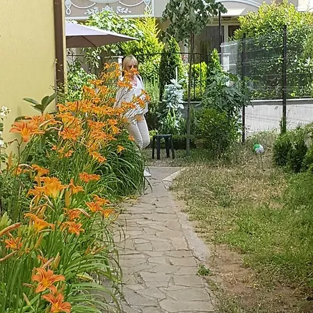 Zanier Guest house *